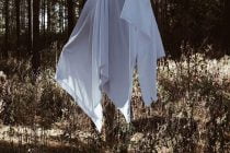 Fanatically Packed Eagle